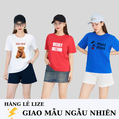 Áo phông nữ dáng rộng NA03 in hình lẻ size GIAO MẪU NGẪU NHIÊN Loza XA013