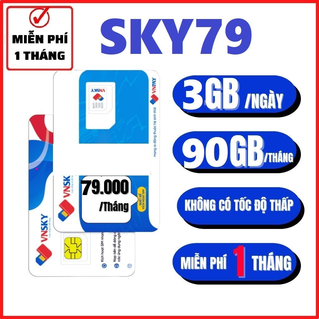 [ MIỄN PHÍ 1 THÁNG ] Sim Mobi Local Vnsky A69 A79 A119 Sky69 Sky79 Cực Rẻ Chỉ Từ 69k/Tháng