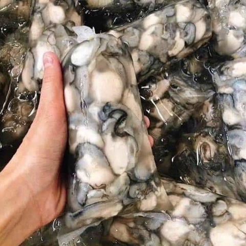 (HCM - CHỈ GIAO HỎA TỐC) Ruột hào sữa tươi 500gr