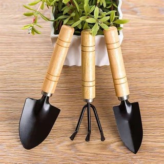 Bộ 3 Món Dụng Cụ Làm Vườn Mini  Xẻng Làm Vườn Xới Đất Cào Đất