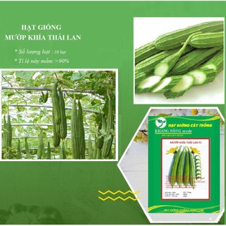 Hạt Giống Mướp Khía Thái Lan 10 hạt - tặng kèm 3 viên nén ươm hạt - DC