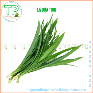 lá dứa tươi ngon 250g dùng nấu chè, nấu xôi, nấu sâm, trang trí, rau câu, làm bánh