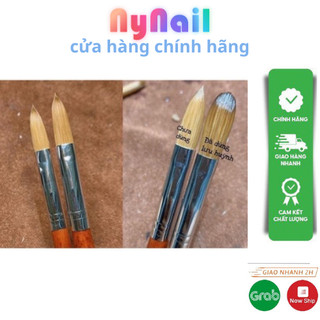 cọ lông chồn Đắp phom bột ezflow