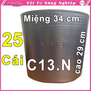 25 Chậu nhựa VĨ HIỀN C13 NHỎ miệng,cao 34x29cm trồng cây ăn trái và hoa siêu bền--77110