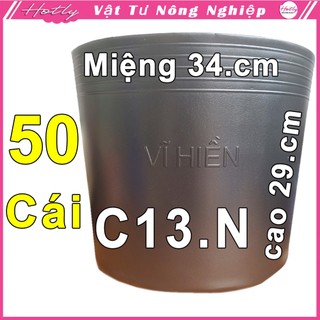 50 Chậu nhựa VĨ HIỀN C13 NHỎ miệng,cao 34x29cm trồng cây ăn trái và hoa siêu bền--77110