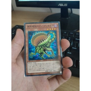 [ 05072024 ] Thẻ bài Yugioh Predaplant Spinodionaea - LVP3-JP074 - Common