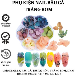 Hoa khô- hoa tú cầu - set hoa khô - hoa lụa ẩn gel ẩn bột trang trí móng làm nail - sơri nail