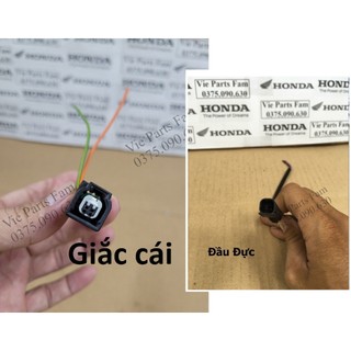 Đầu ghim, giắc kim phun 2 chân honda ab 110