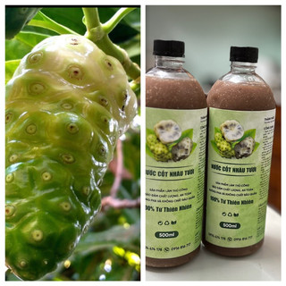 Nước cốt nhàu ngâm đường phèn nguyên chất chai 500ml
