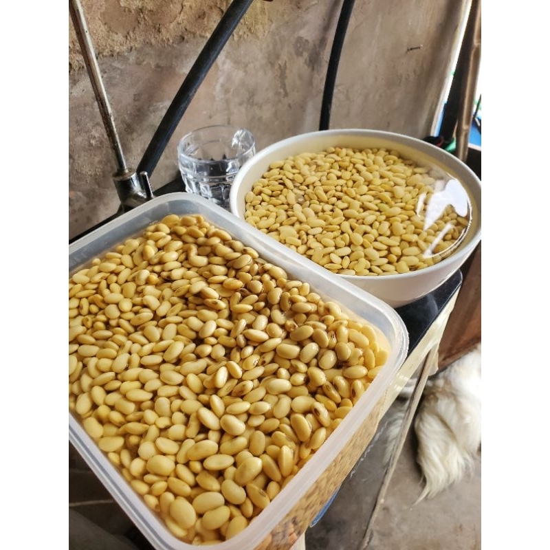Bột mầm đậu nành thuần chủng