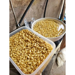 Bột mầm đậu nành thuần chủng