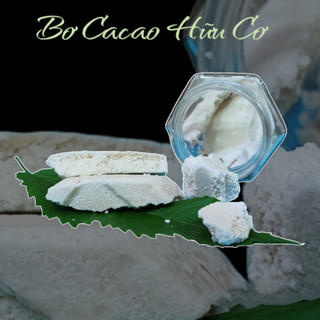 Bơ Cacao Nguyên Chất (Raw Coca Butter)