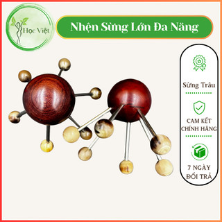 Con nhện đa năng lớn - nhỏ diện chẩn Bùi Quốc Châu