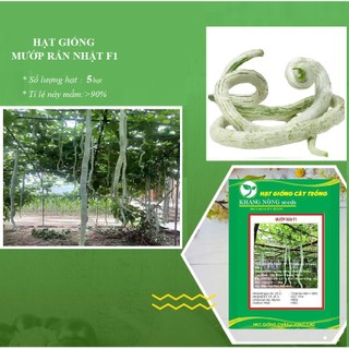 Hạt Giống Mướp Rắn Dài Nhật - 1 gói 5 hạt - DC