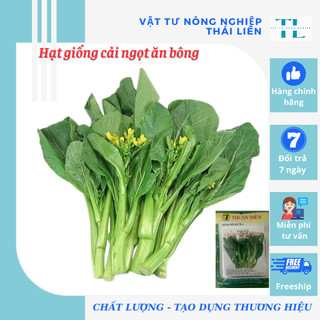 Hạt giống cải ngọt ăn bông - hạt giống thuận điền