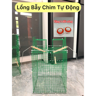Lồng bẫy chim sẻ tự động