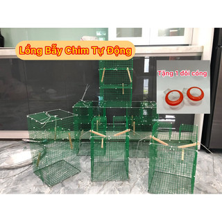 Lồng Bẫy Chim Khuyên Tự Động