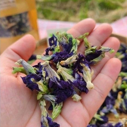 Hoa Đậu Biếc Sấy Khô (Nhà trồng) 50g