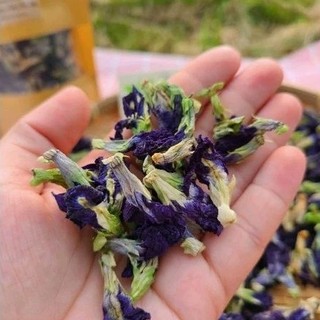 Hoa đậu biếc sấy khô 50g