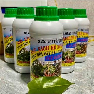 Phân bón siêu kích rễ bung chồi - đi đọt mạnh - phục hồi cây suy