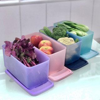 Bộ 4 hộp trữ mát 3.1l tupp