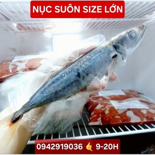 1kg cá nục suôn size lớn 6-8 con/kg dễ gỡ xương, làm pate tươi - joyful day - ship hỏa tốc