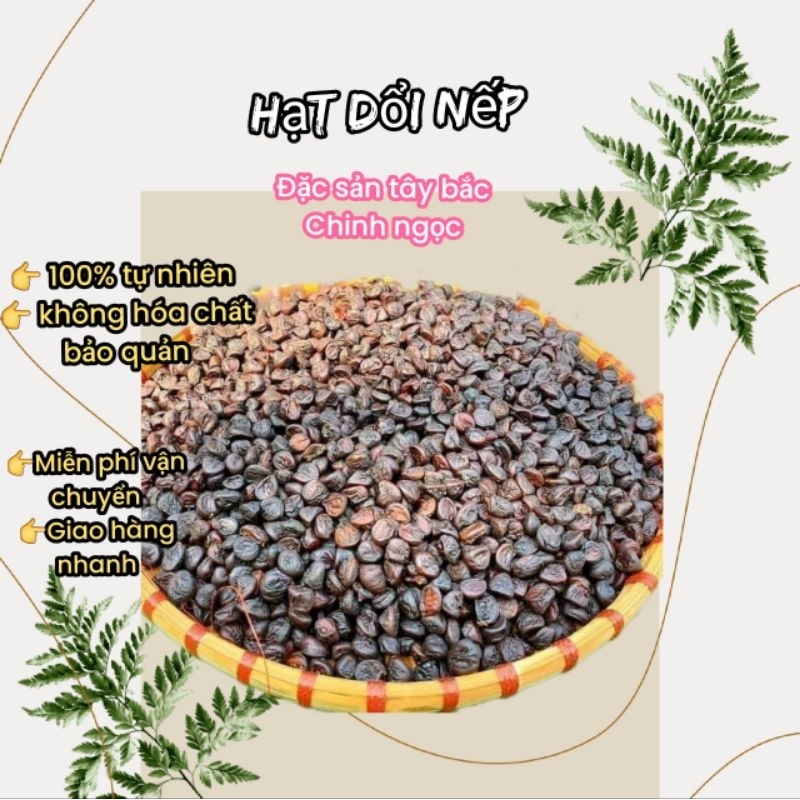 hạt dổi nếp tây bắc - gói dùng thử [30 hạt]