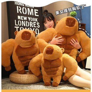 Gối ôm hình Capy bara Lực sĩ gối ôm chuột lang bộ trưởng bộ ngoại giao gối ôm kute đáng yêu
