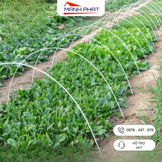 Thanh nan sợi thủy tinh dài 1- 3m làm giàn leo cây khung vòm trồng rau 5li , 8li siêu bền