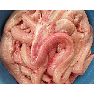 1kg Cá Ninja - Cá mút đá (hoả tốc tphcm)