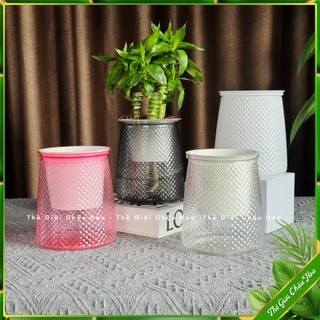  Bình trồng hoa tự tưới chậu trồng cây thông minh hoạ tiết kim cương chậu thuỷ sinh decor trang trí bàn làm việc 