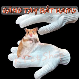 Găng Tay Bắt Hamster 1 Cái Găng Tay Bắt Hamster Chống Hamster Cắn