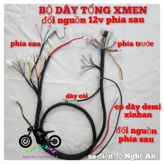 dây tổng xmen,dây tổng xe điện xmen làm giắc sẵn cho ic votol (đổi nguồn 12vold phía sau)