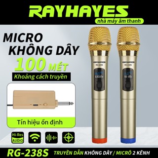 RayHayes Rg-238S Micro không dây cầm tay kép UHF Karaoke chuyên nghiệp cho videoke