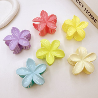 Kẹp hoa cài sứ size to màu pastel.