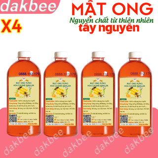 4 Lít Mật ong rừng hoa cà phê nguyên chất Daklak, giá ưu đãi [ dakbee ]