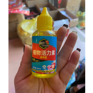  Kích mọc rễ cây Thuốc kích thích mọc rễ cây phục hồi cây yếu giúp cây tăng trưởng dung tích 50ml .. 