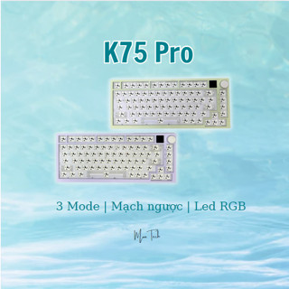   Hỏa tốc - HCM  Bàn phím cơ Royal Kludge RK R65  3 Mode | Mạch ngược | Plate PC 