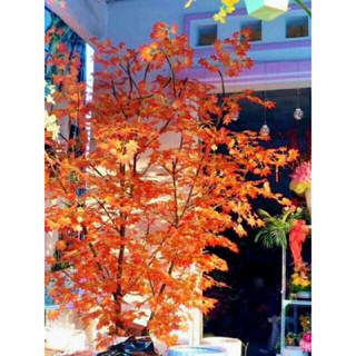 Combo 12 cành lá phong làm cây giả 5 nhánh 25 lá màu đỏ xanh hồng