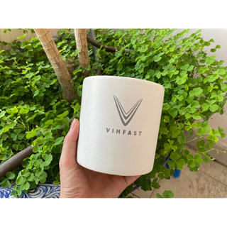 Chậu đất nung và men trồng cây, trang trí phòng làm việc, phòng khách, kích cỡ 12 cm x 12 cm