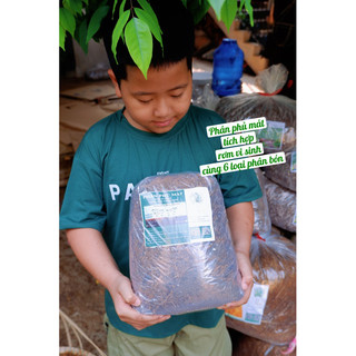PHÂN PHỦ MÙA HÈ