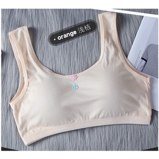 Áo lá cho học sinh chất cotton khoá cài sau mềm mại ,thoáng khi có đệm mút HOT Bikini 6020 { A313 }