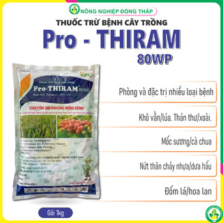 Thuốc PRO-THIRAM 80WG VFC ( giá gói 1 kg)