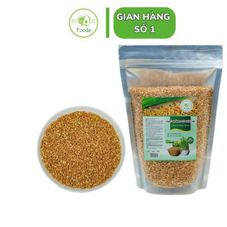 Hạt Lúa mỳ 1kg - giống cỏ lúa mỳ Úc - cỏ Mèo ( Đổi trả khi hạt k lên mầm )