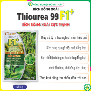 Kích bông xoài Thiourea 99 F1+ gói 1kg