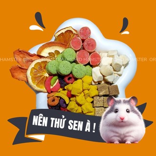 Thức ăn hamster vị bát bửu bổ sung vitamin/đạm/protein/xơ cho hamster,sóc,nhím,thỏ/bọ/rát....