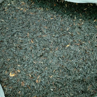 Trấu hun nguyên hạt bao 10 Lít