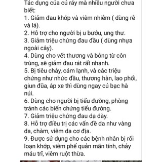 Củ ráy khô, Củ bạc hà núi khô