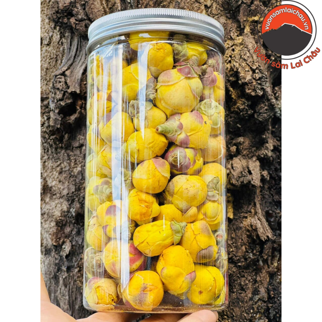 Trà Hoa vàng Ba Chẽ, Quảng Ninh sấy lạnh thượng hạng. Đặc sản chè hoa vàng, trà hoa vàng Tam Đảo sấy