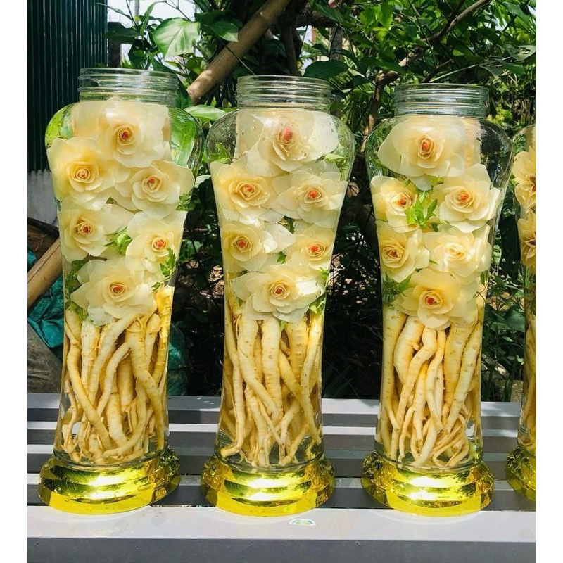1phôi đinh lăng hoa(phôi 7lit cao 53)